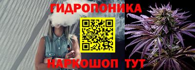крисы Комсомольск-на-Амуре